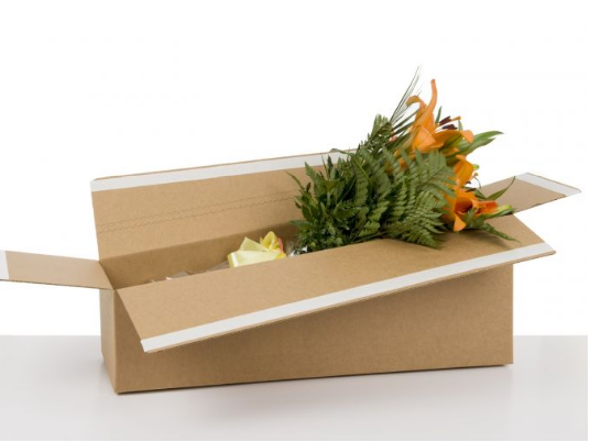 Flower Shipping Box (for a Standard size bouquet) 598*229*165 mm - Packaging Superstore